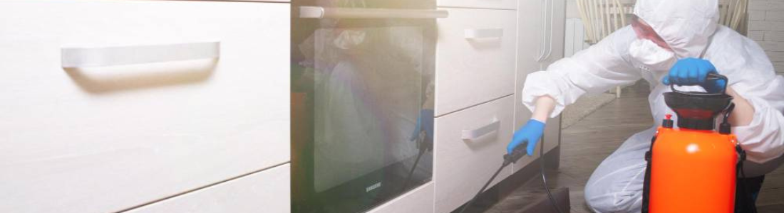 Dedetização na Chacara Inglesa 24 HORAS